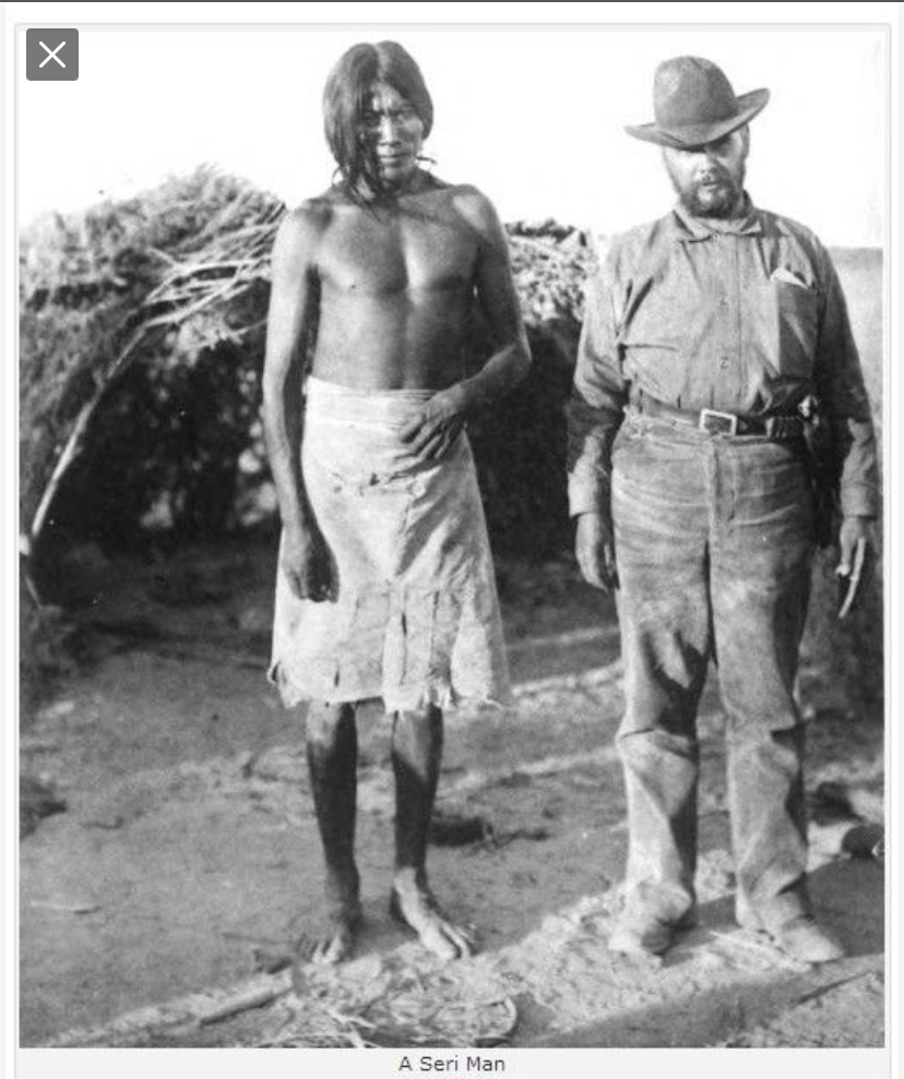 0458E8ED 3C71 4ADA 8846 EE81FADE5AC1