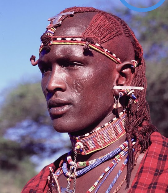 Screenshot 20190808 225336 Pinterest