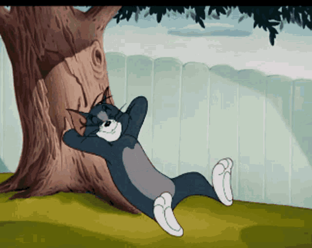 Sleep tom and jerry
