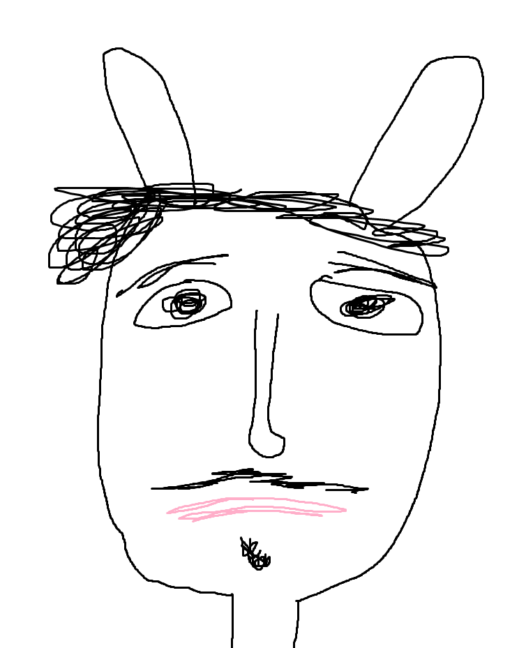 2365555 donkey