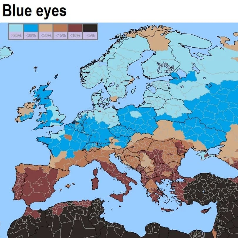 1638188808761