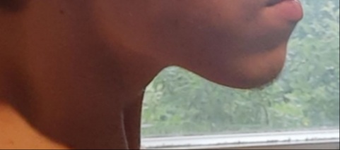 20211201 000243
