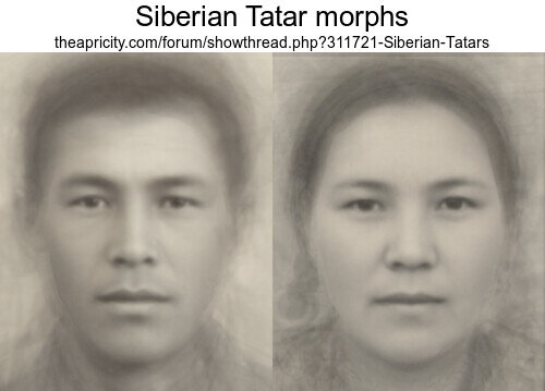 Siberian tatar morphs