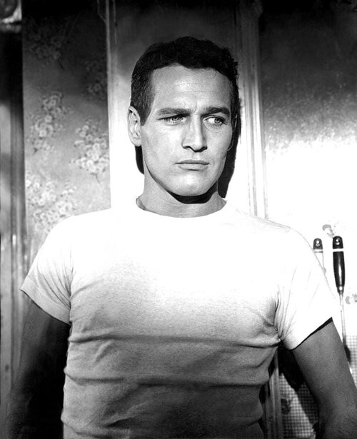 The hustler paul newman 1961 everett