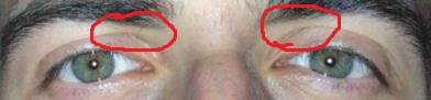 Ojos