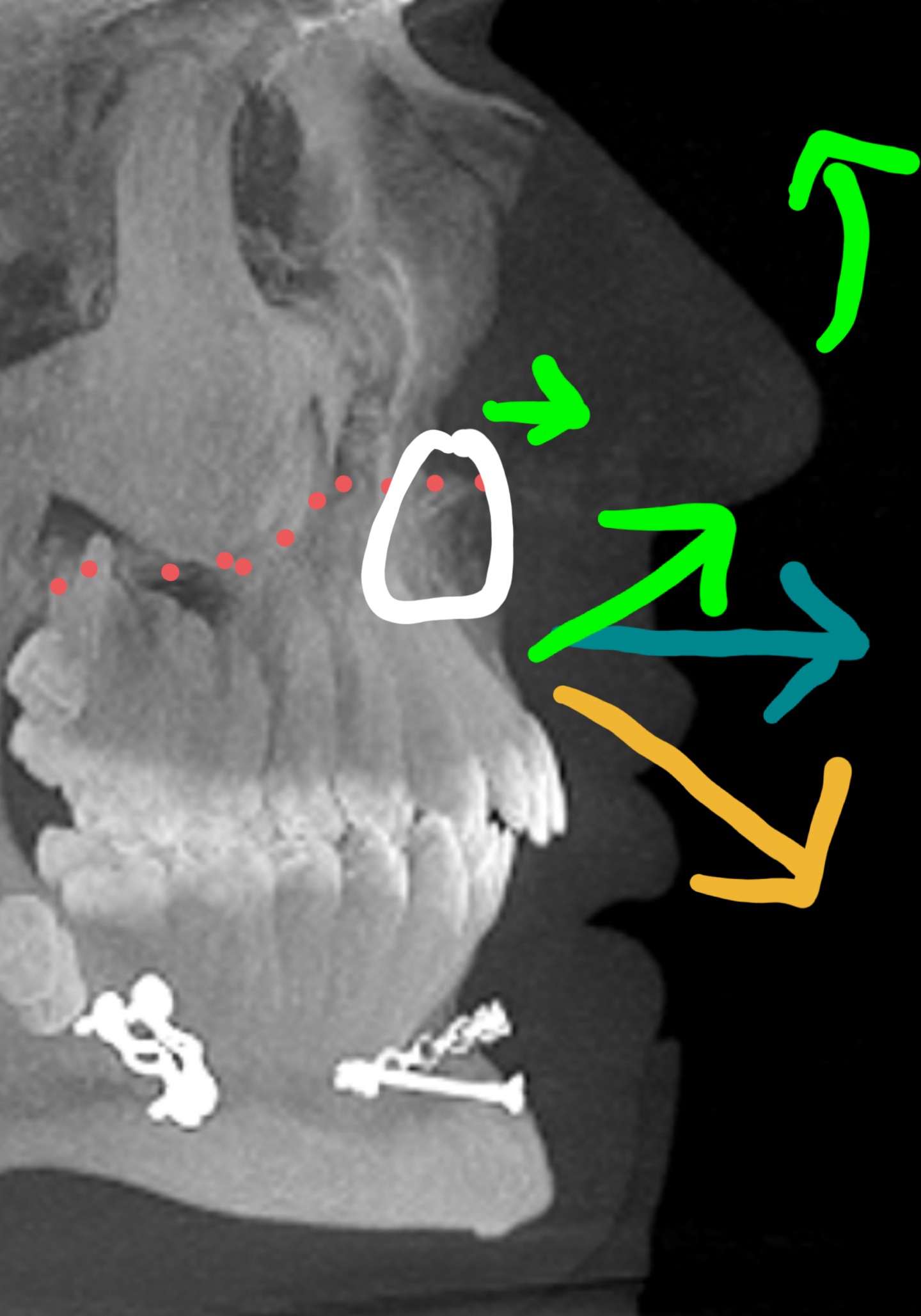 Screenshot 20211213 001700 Gallery