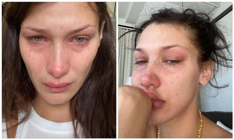 255054084 380321356810649 6150678087793791848 n collage u22624735327mce jpeg