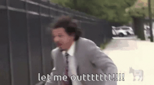Eric andre let me out