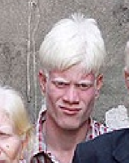 VboTi