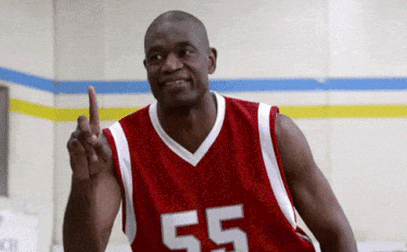 AdmirableTangibleAntarcticgiantpetrel size restricted