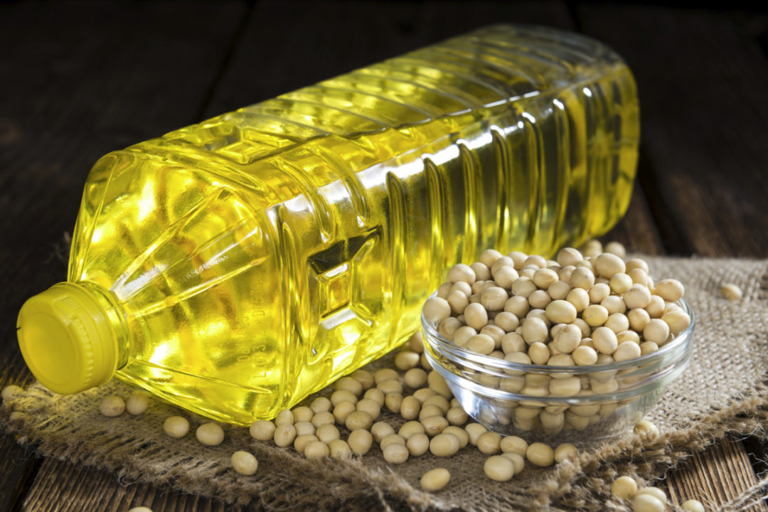 Soybean AdobeStock 82343048 E