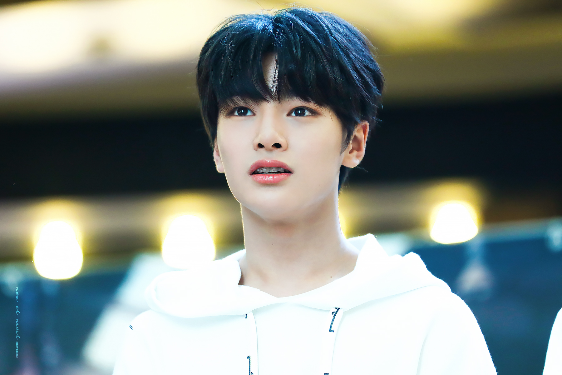IN Stray Kids 2001