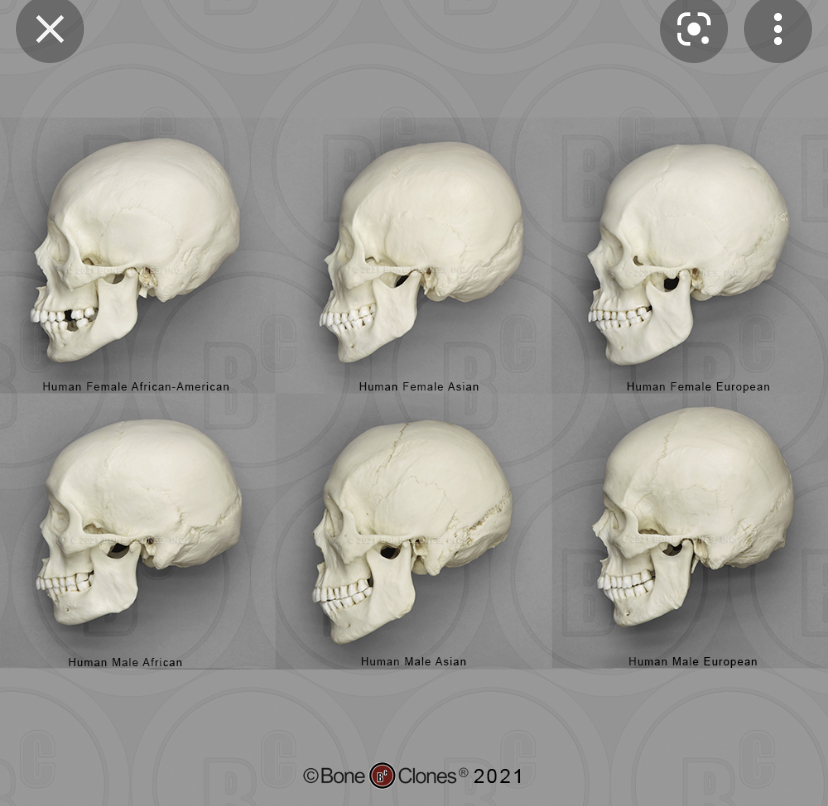 9F585D04 335D 4922 9B46 2B9C38EA01A8
