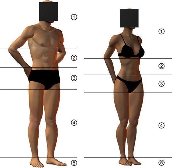 10508 2015 635 Fig1 HTML