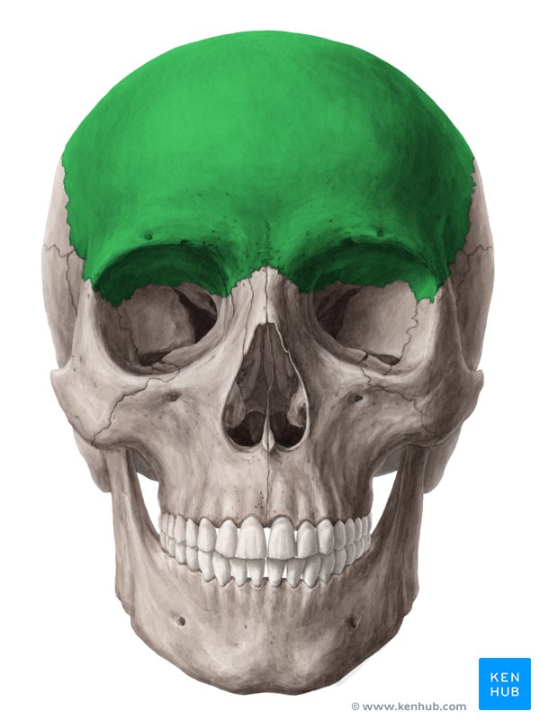 PcpBrRrJZqJDl6PdUBXJBg os frontale atlas GAZUTHVF9KhaPkszCNZMtw
