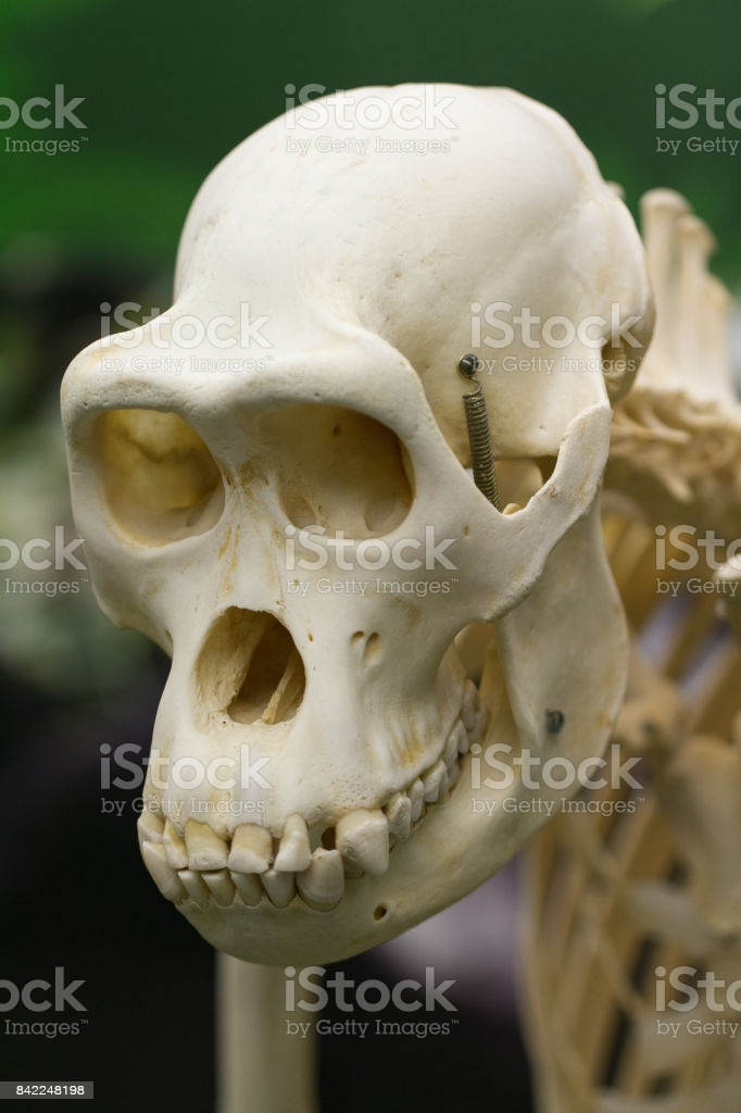 1640625101791