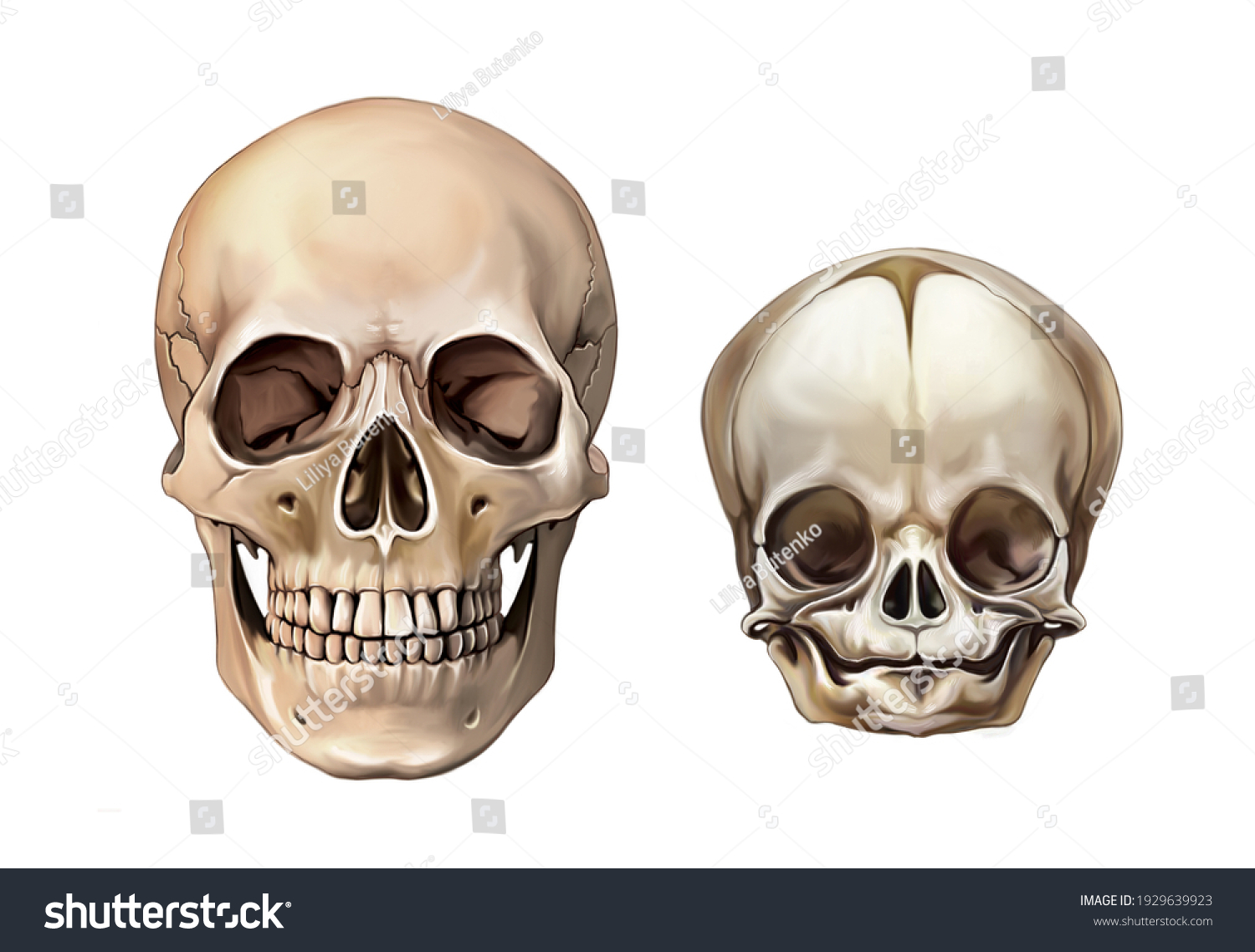 1640709405318