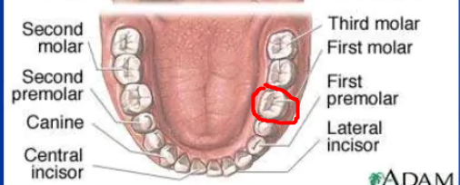 1640857677657
