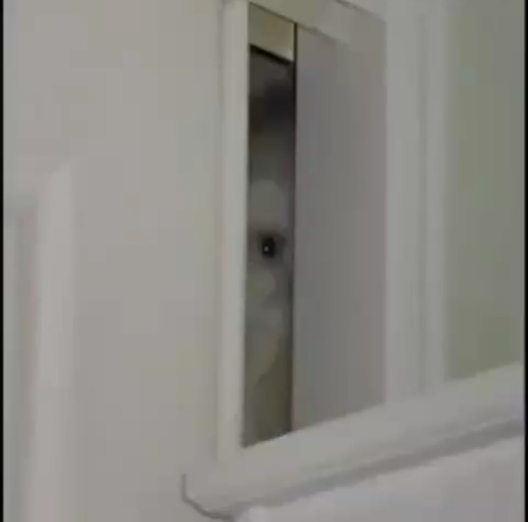 399877977C744B09B327E5EE09A82BEF