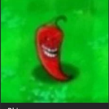 13755
