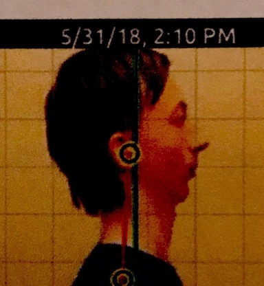 16204