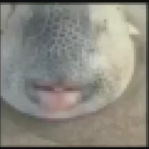 Image1 2