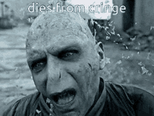 Dies from cringe voldemort