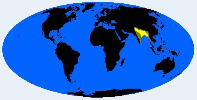 Eastbrachid