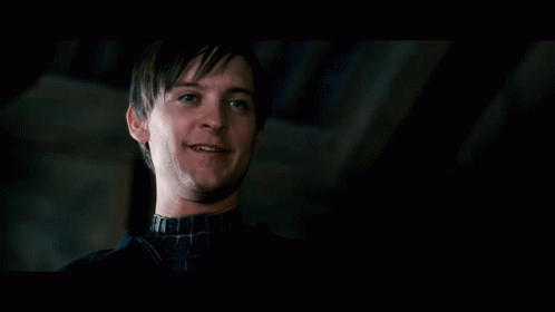 Spiderman thats it