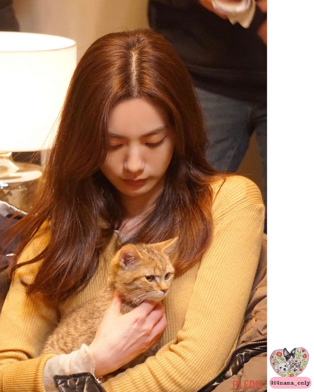 269162381 965050154414690 5017401138144664030 n