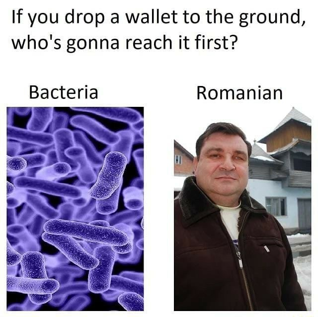1641391454023