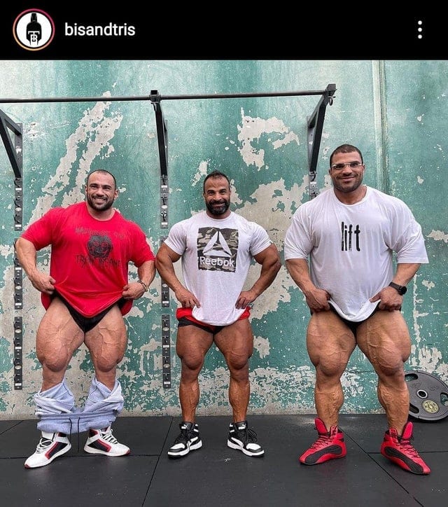 Gymcel