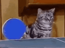 Ping pong