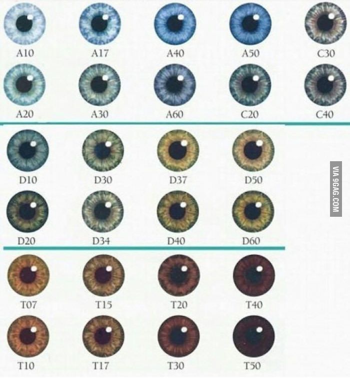 D28f6b84ea33ec275854e4a40b6daf2f  eye color charts brown eyes