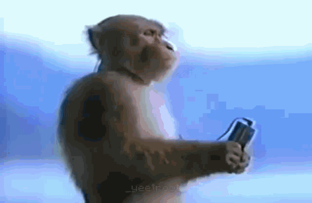 1641680173446