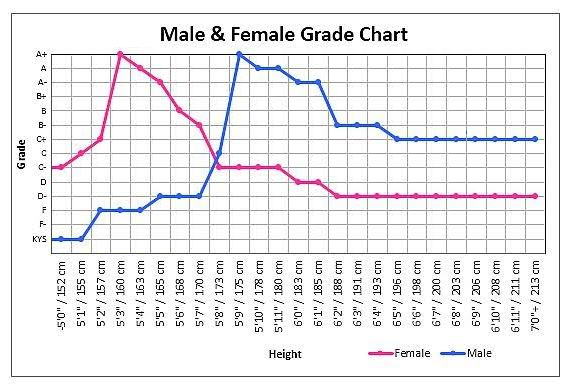 Height
