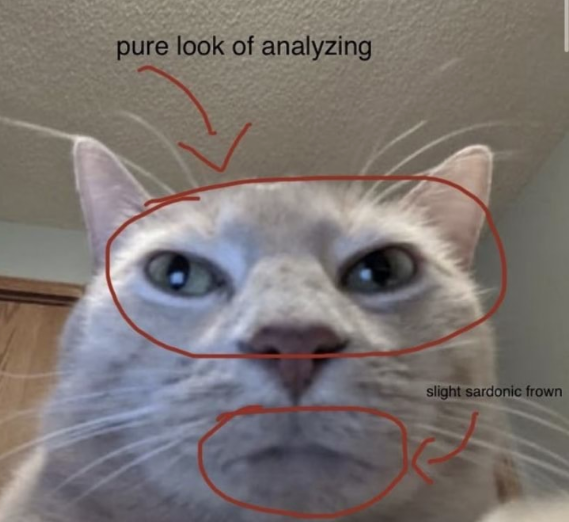 E3NfjHnXMAUSv1T