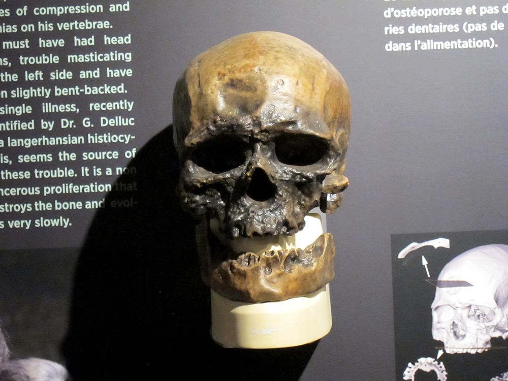 CroMagnon