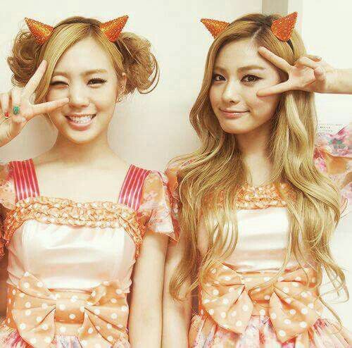 A00eeb0432e1d97ca5bad13277d1cd3b