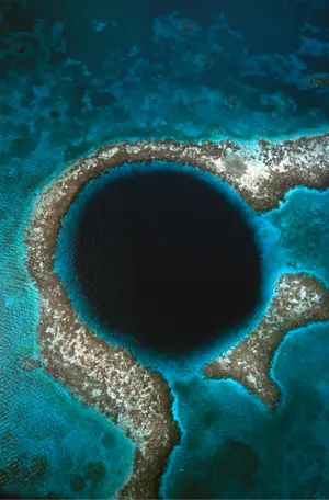 1642044972453