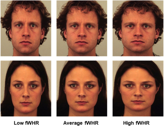 1 s20 S0191886920307741 gr5