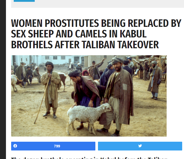 Sheep