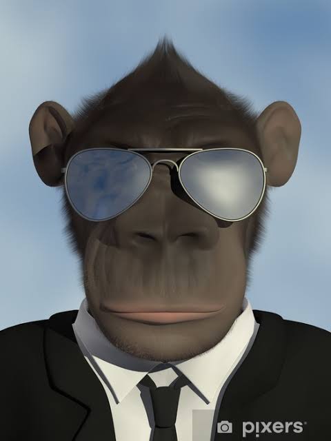Images 6