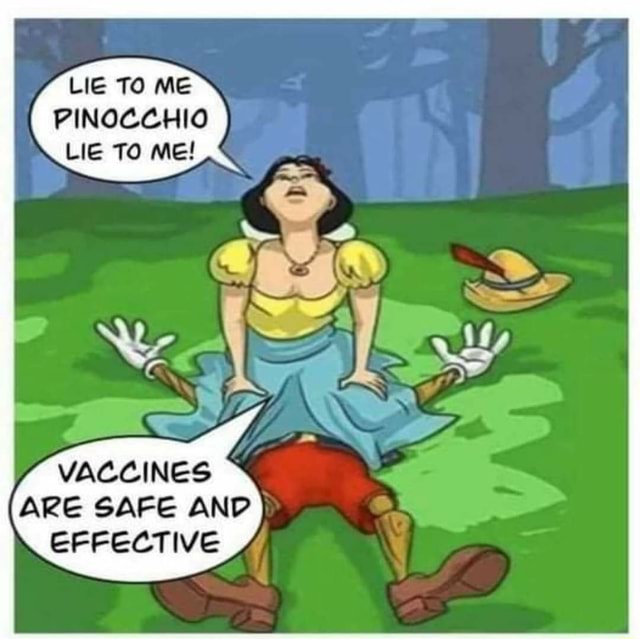 Lie to me pinocchio lie to me are and effective meme 4b6c2127c6433ddd b6baad14d74c8472
