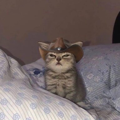 6305
