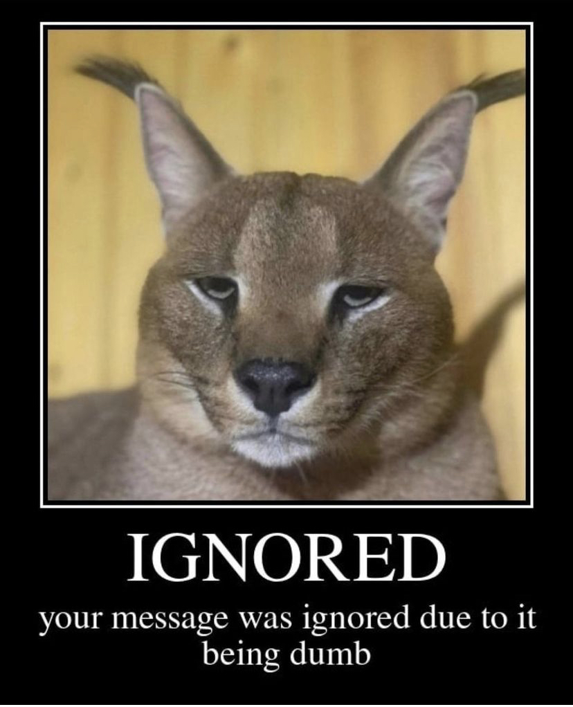 2696883 IMG 7079