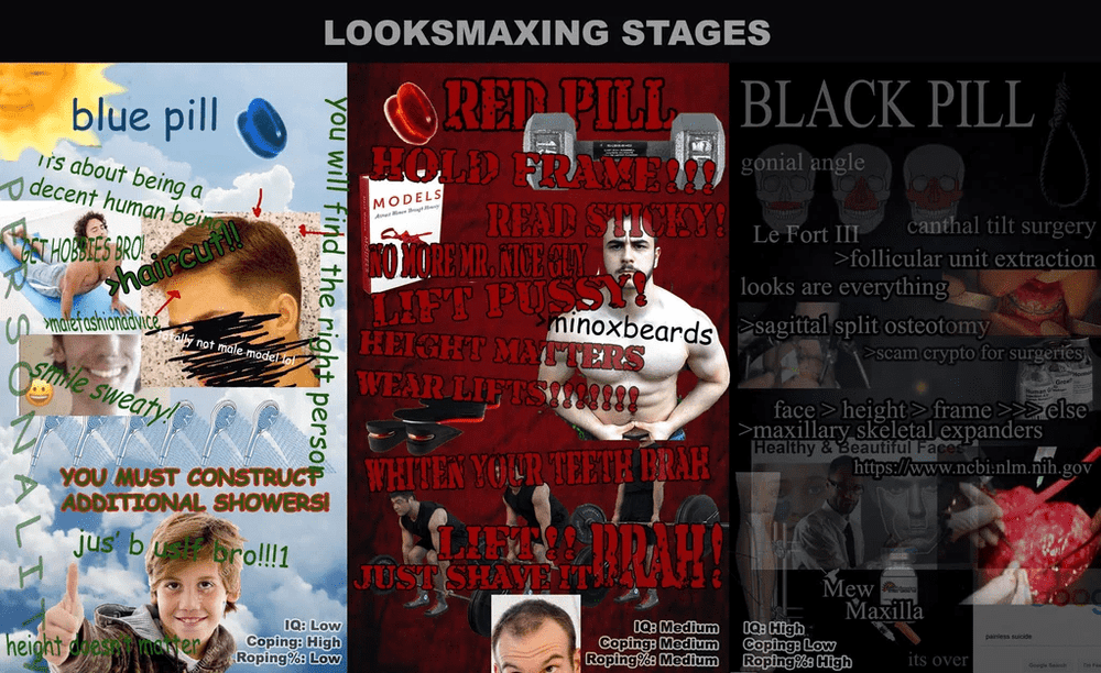Blue to red to blackpill