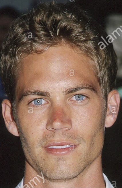 2601393 1636045781849