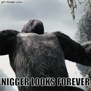 Niglooks