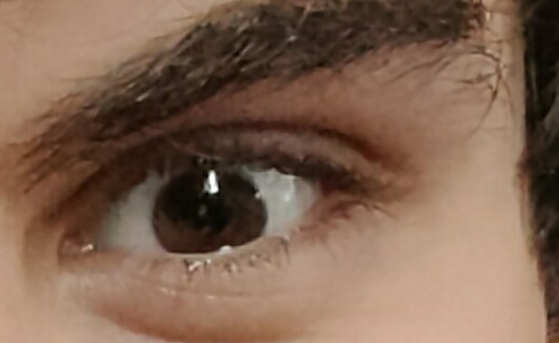 IMG 20220116 121241  01  01  01